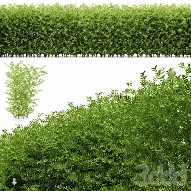 TREE 3DS MAX MODEL – 023