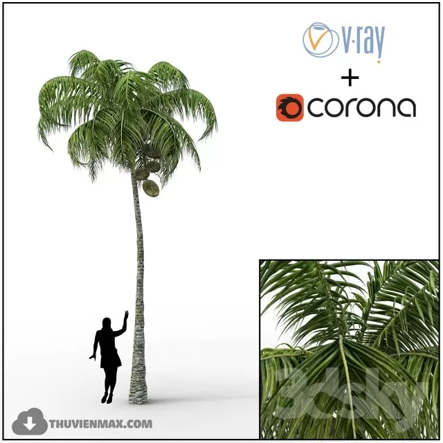 BIG TREE – 3D MODEL – 002