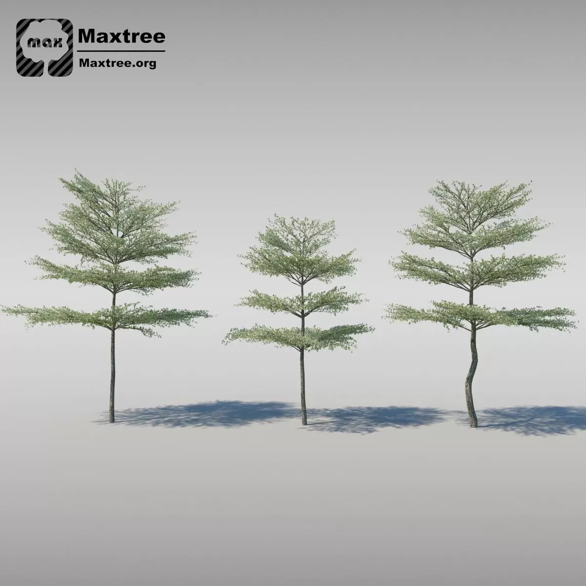 BIG TREE – 3D MODEL – 008