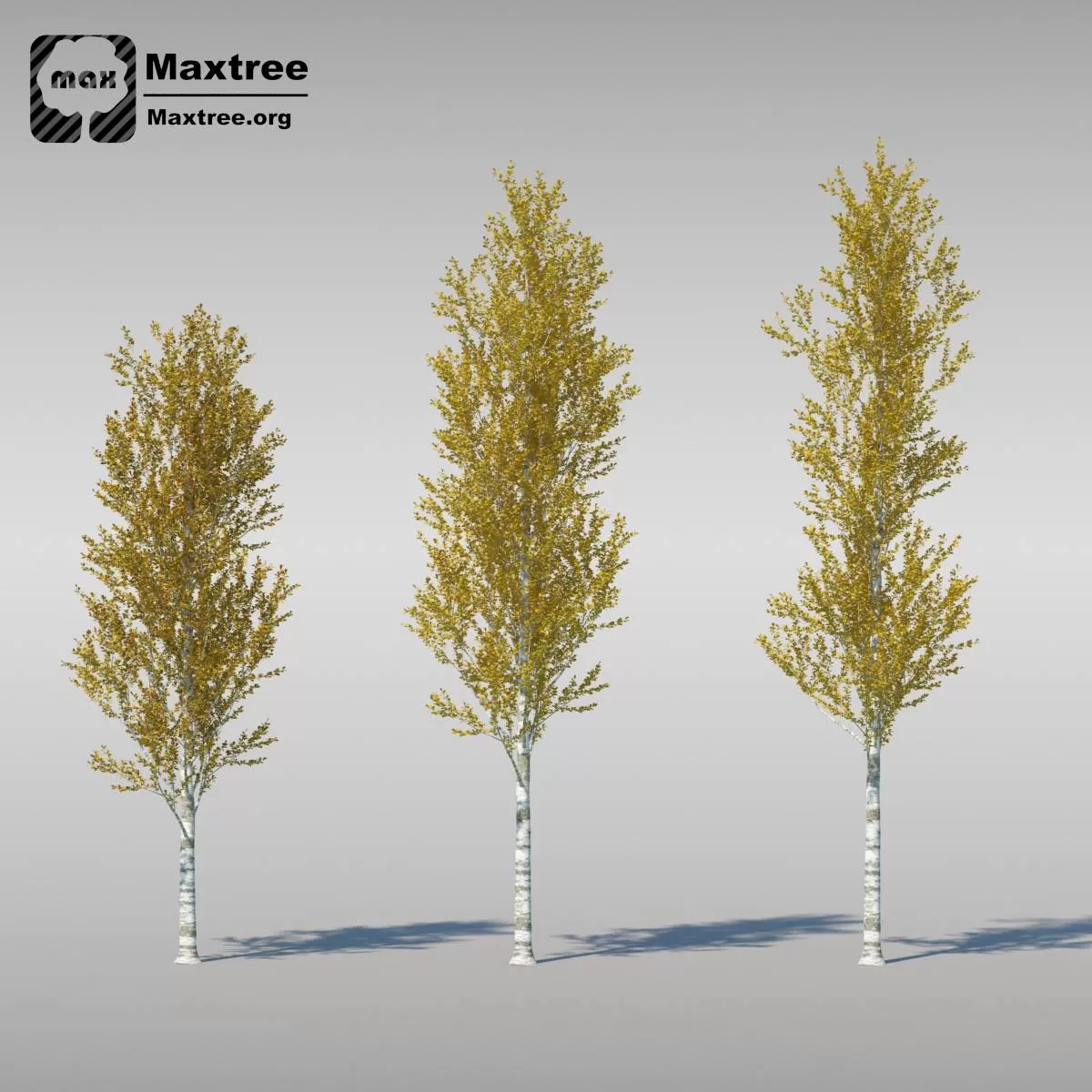 BIG TREE – 3D MODEL – 014