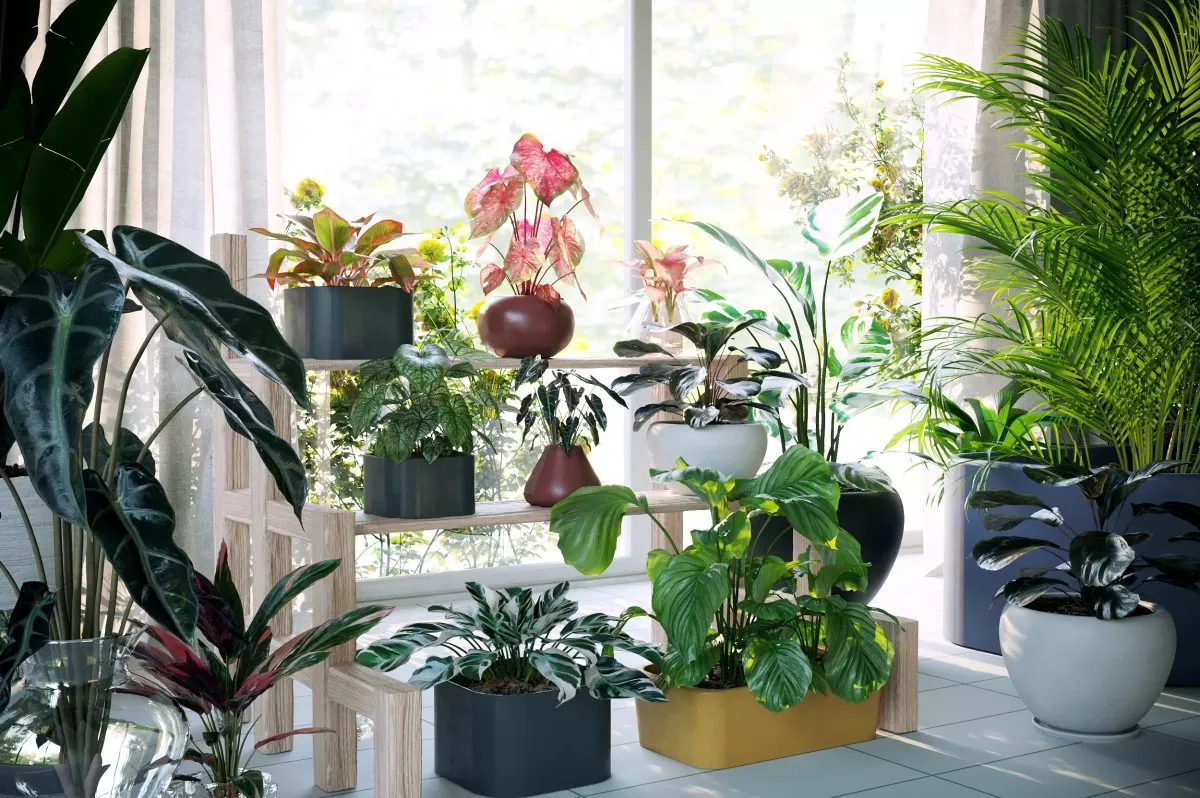 3ds Max Files – Model – 14 – Plant Model – 1 – Plant Models By NguyenHa