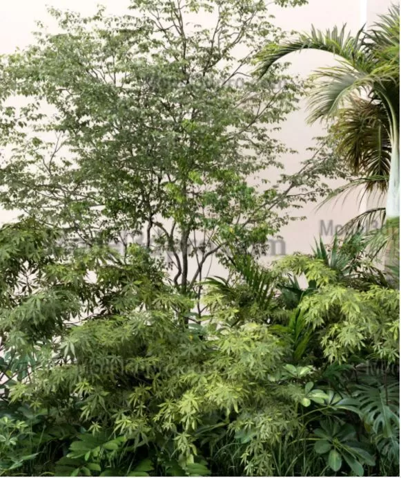 3ds Max Files – Model – 14 – Plant Model – 10 – Plant Models By NguyenHa