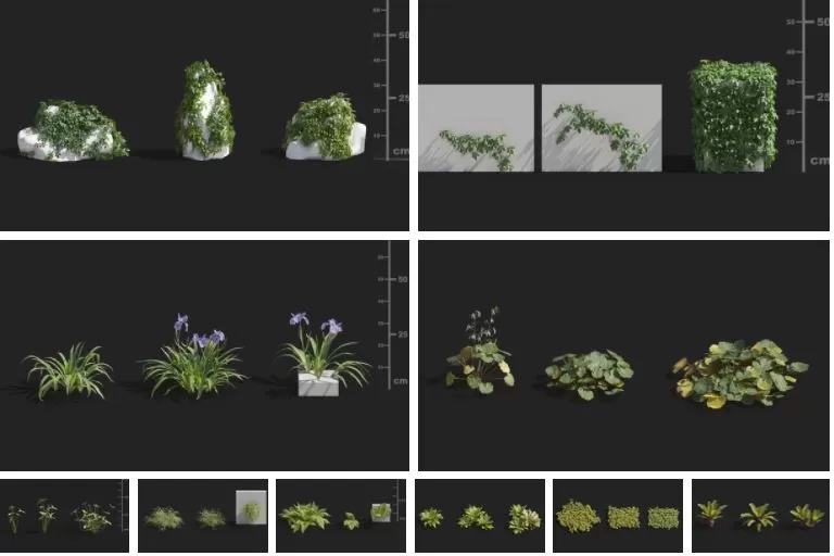 3ds Max Files – Model – 14 – Plant Model – 15 – Plant Models By NguyenHa