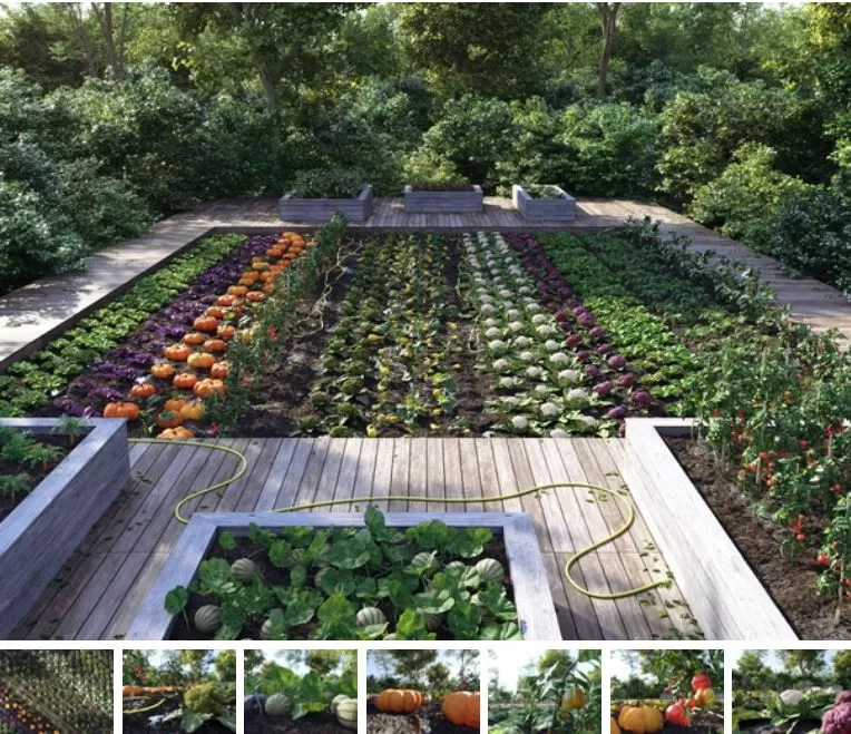 3ds Max Files – Model – 14 – Plant Model – 17 – Plant Models By NguyenHa