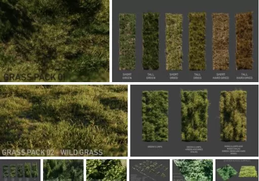 3ds Max Files – Model – 14 – Plant Model – 21 – Plant Models By NguyenHa