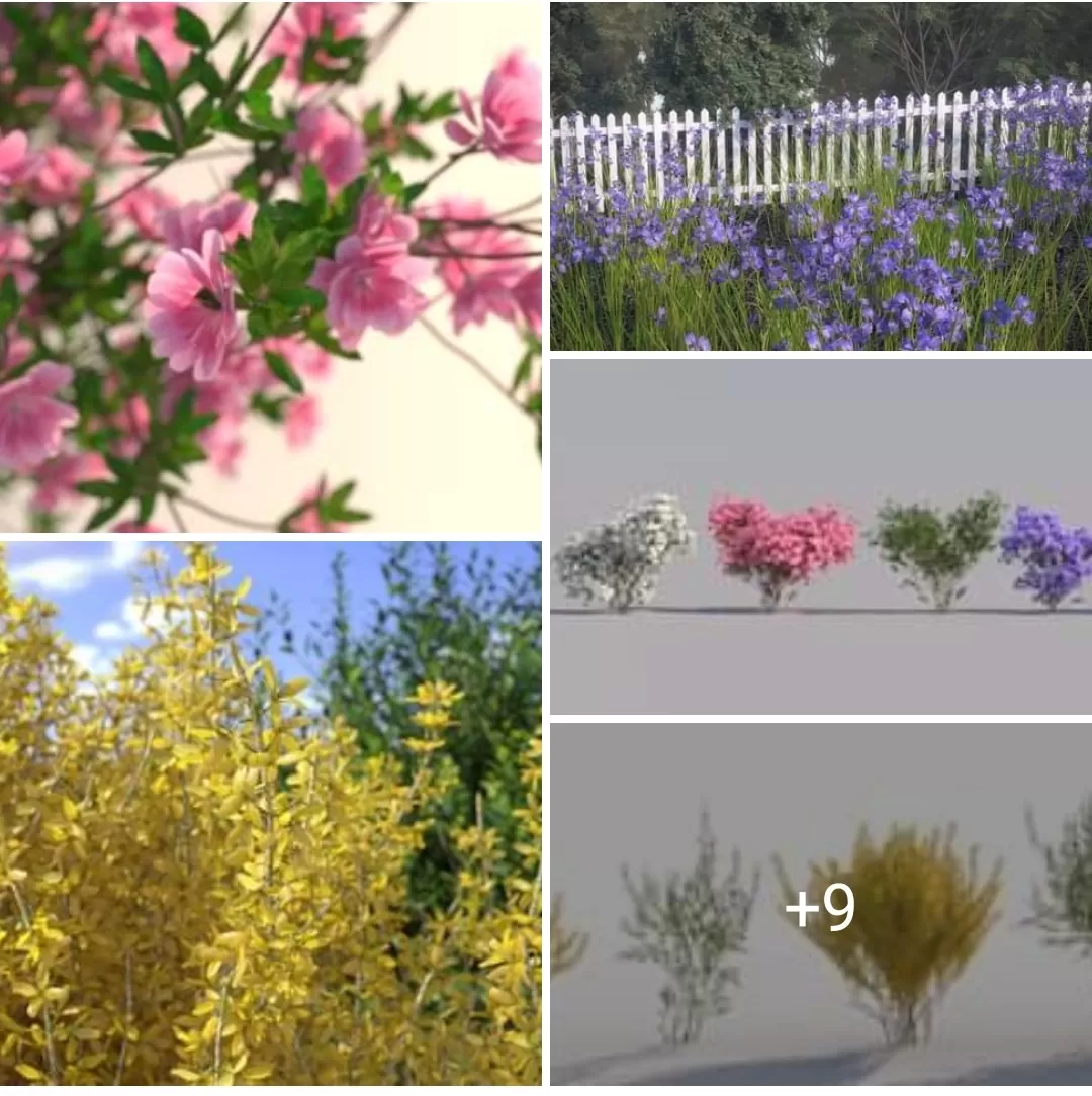 3ds Max Files – Model – 14 – Plant Model – 27 – Plant Models By MinhNguyen