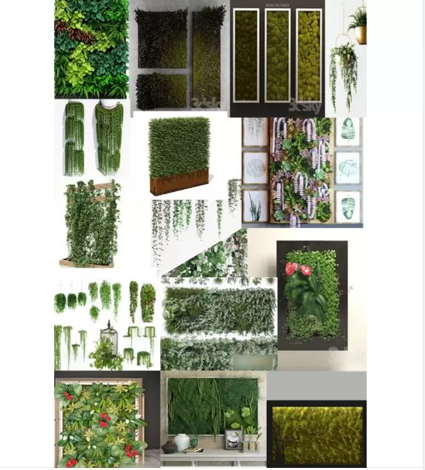 3ds Max Files – Model – 14 – Plant Model – 3 – Plant Models By NguyenHa