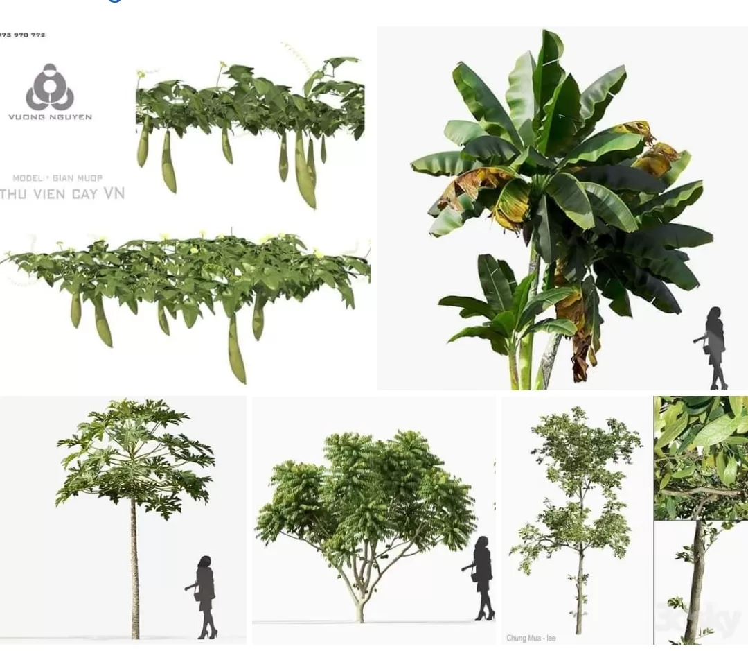 3ds Max Files – Psd File – 1 – Landscape Psd File – 4 – Plant Psd by Minh Nguyen