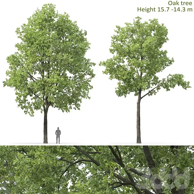 3DSKY MODELS – NEW – 3D MODELS – FREE DOWNLOAD – 579