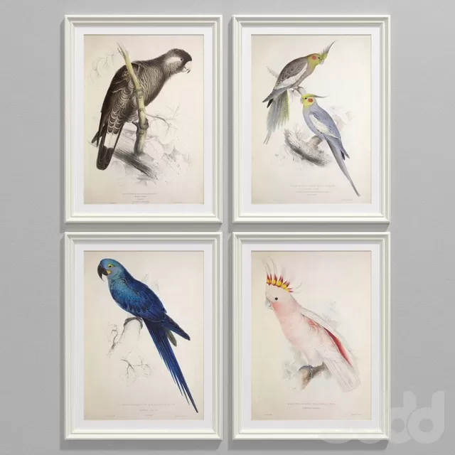 DECORATION – FRAME – 3D MODELS – FREE DOWNLOAD – 4586