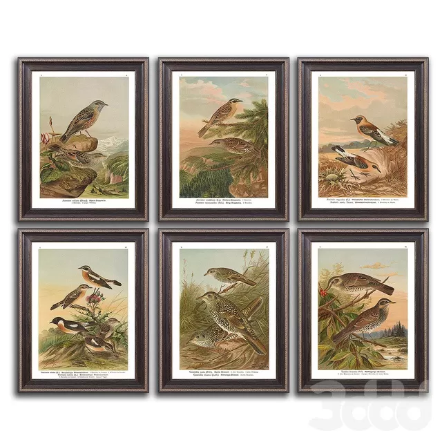 DECORATION – FRAME – 3D MODELS – FREE DOWNLOAD – 4619