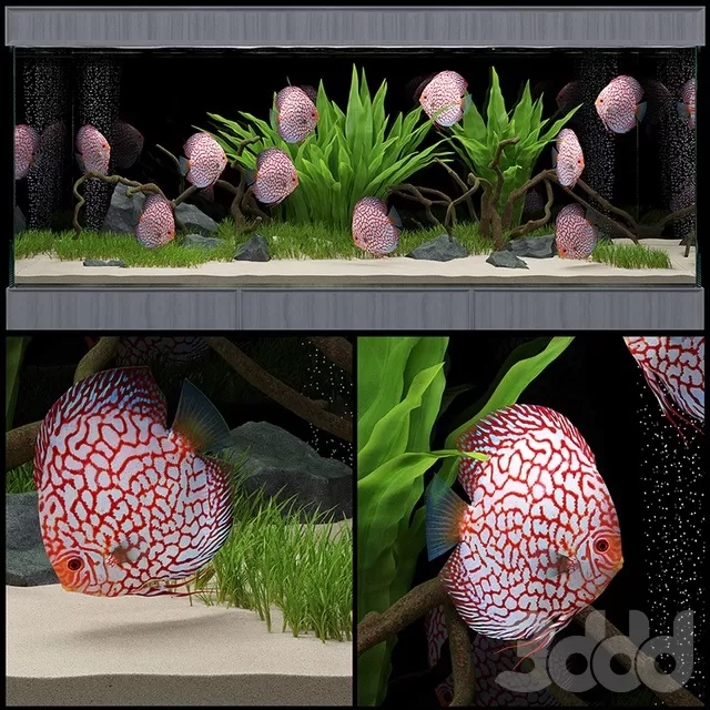 DECORATION – OTHER DECORATIVE OBJECTS – 3D MODELS – FREE DOWNLOAD – 5039