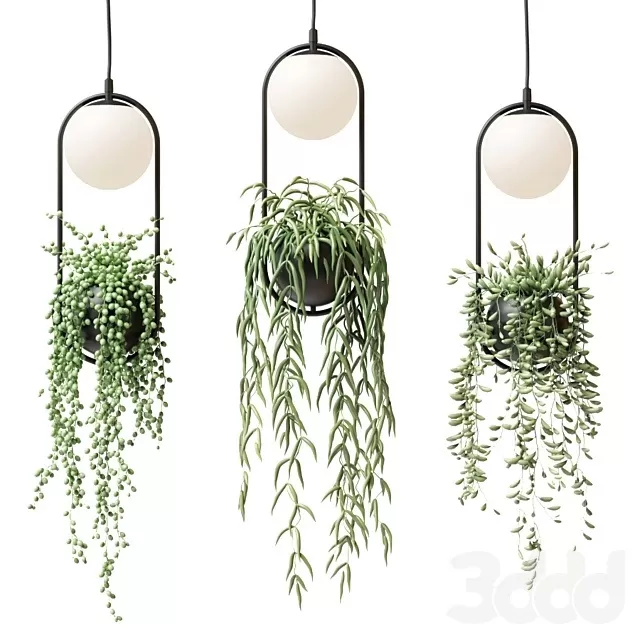 LIGHTING – PENDANT LIGHT – 3D MODELS – FREE DOWNLOAD – 13978