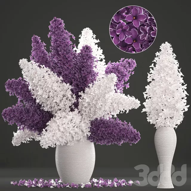 PLANTS – BOUQUET – 3D MODELS – FREE DOWNLOAD – 16445