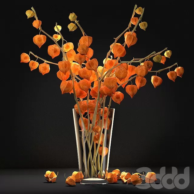 PLANTS – BOUQUET – 3D MODELS – FREE DOWNLOAD – 16460