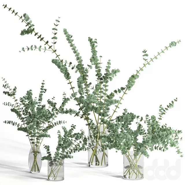 PLANTS – BOUQUET – 3D MODELS – FREE DOWNLOAD – 16491