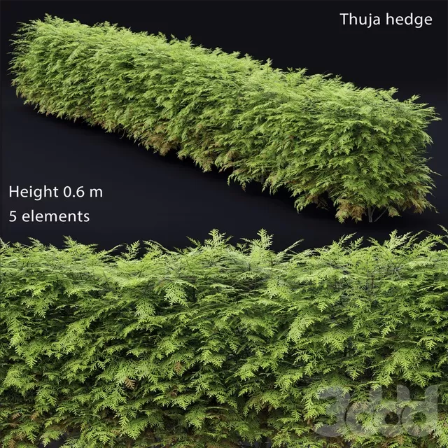 PLANTS – BUSH – 3D MODELS – FREE DOWNLOAD – 16520