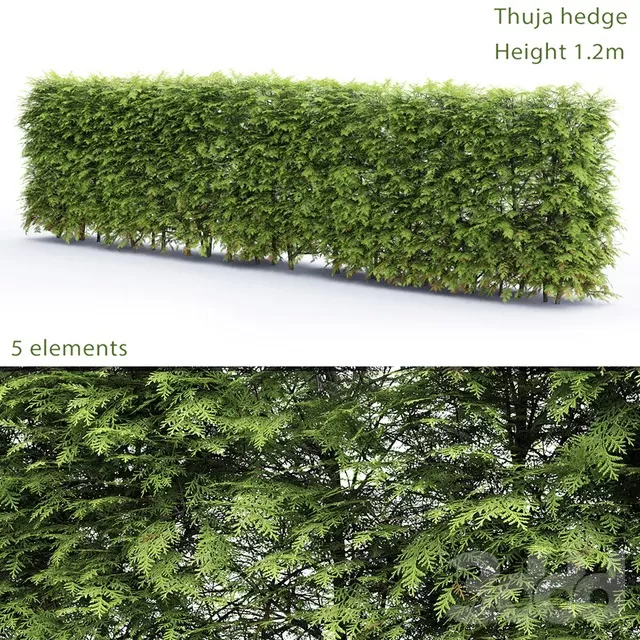 PLANTS – BUSH – 3D MODELS – FREE DOWNLOAD – 16522