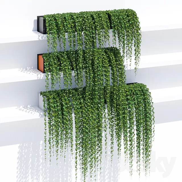 PLANTS – FITOWALL – 3D MODELS – FREE DOWNLOAD – 16543