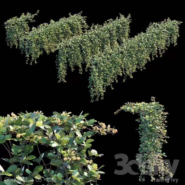 PLANTS – FITOWALL – 3D MODELS – FREE DOWNLOAD – 16546