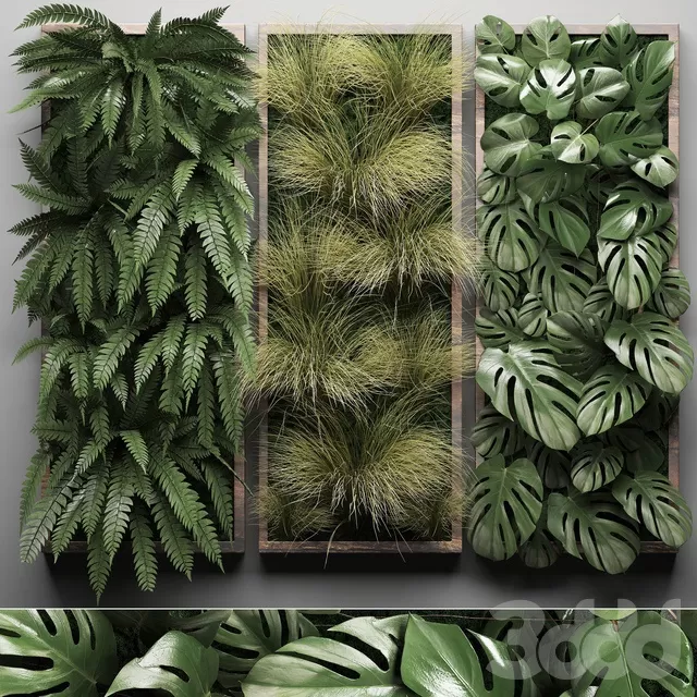 PLANTS – FITOWALL – 3D MODELS – FREE DOWNLOAD – 16551