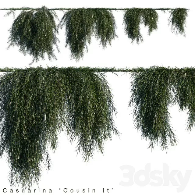 PLANTS – FITOWALL – 3D MODELS – FREE DOWNLOAD – 16553
