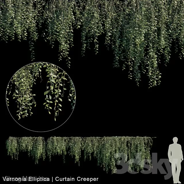 PLANTS – FITOWALL – 3D MODELS – FREE DOWNLOAD – 16555