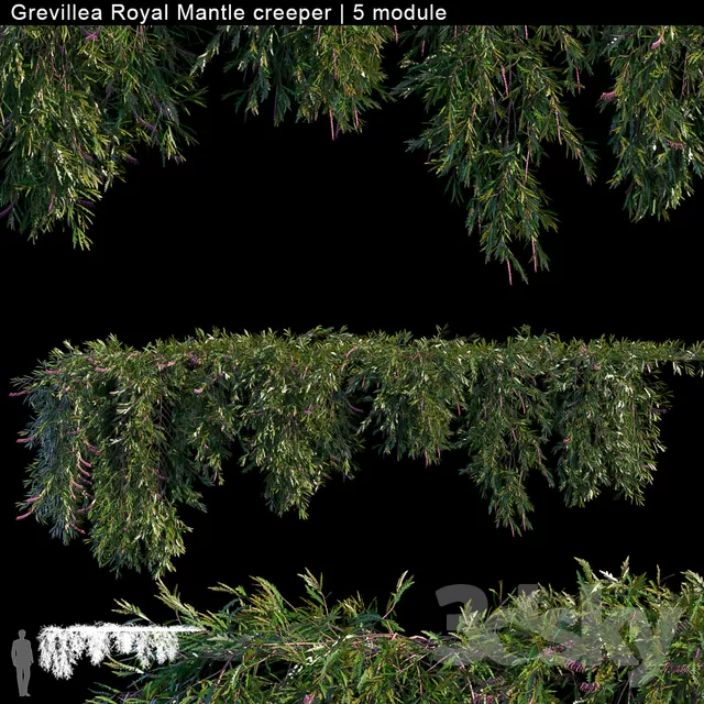 PLANTS – FITOWALL – 3D MODELS – FREE DOWNLOAD – 16557