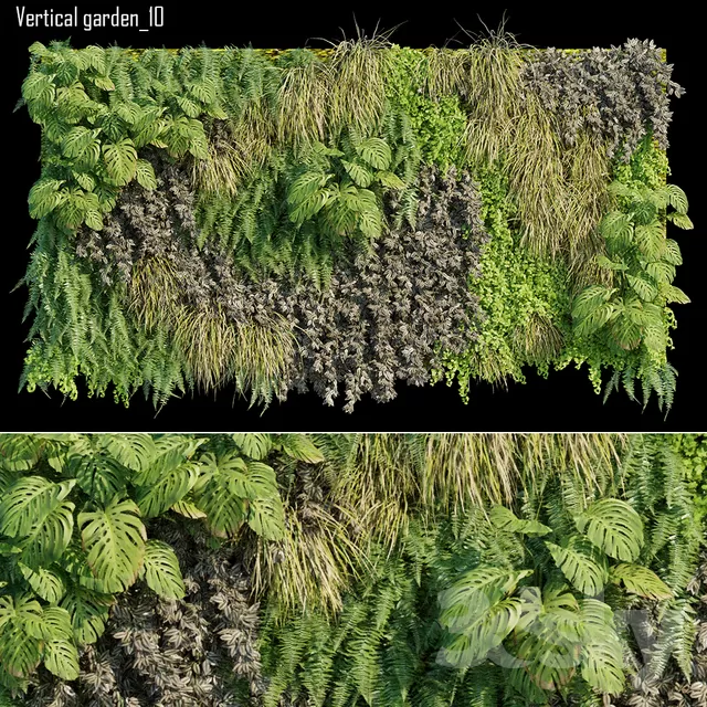 PLANTS – FITOWALL – 3D MODELS – FREE DOWNLOAD – 16563