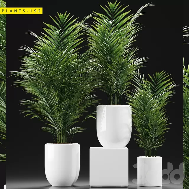 PLANTS – INDOOR – 3D MODELS – FREE DOWNLOAD – 16578 PLANTS – INDOOR – 3D MODELS – FREE DOWNLOAD – 16578