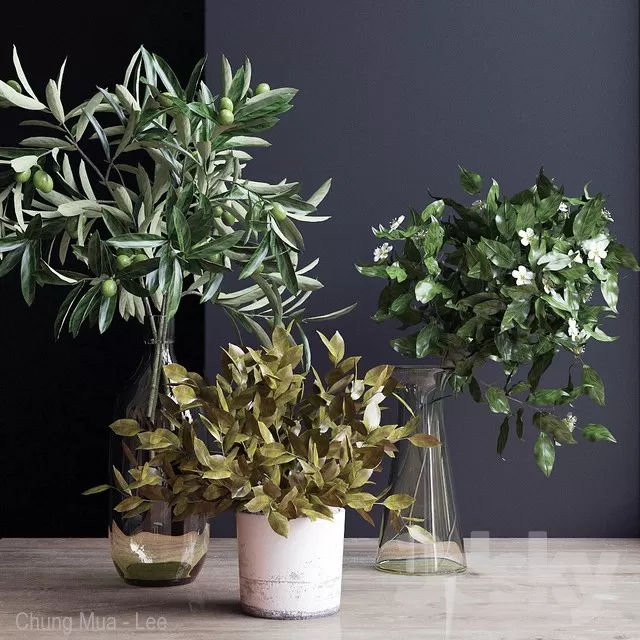 PLANTS – INDOOR – 3D MODELS – FREE DOWNLOAD – 16579 PLANTS – INDOOR – 3D MODELS – FREE DOWNLOAD – 16579