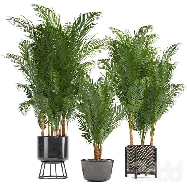 PLANTS – INDOOR – 3D MODELS – FREE DOWNLOAD – 16580 PLANTS – INDOOR – 3D MODELS – FREE DOWNLOAD – 16580
