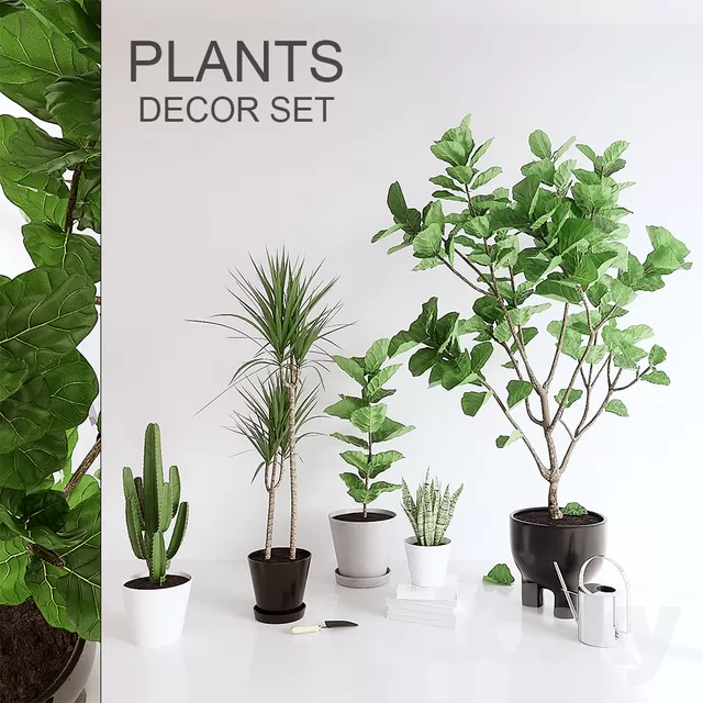 PLANTS – INDOOR – 3D MODELS – FREE DOWNLOAD – 16588 PLANTS – INDOOR – 3D MODELS – FREE DOWNLOAD – 16588