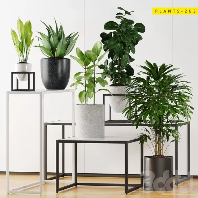 PLANTS – INDOOR – 3D MODELS – FREE DOWNLOAD – 16589 PLANTS – INDOOR – 3D MODELS – FREE DOWNLOAD – 16589