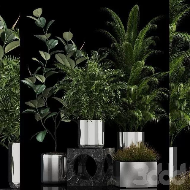 PLANTS – INDOOR – 3D MODELS – FREE DOWNLOAD – 16590 PLANTS – INDOOR – 3D MODELS – FREE DOWNLOAD – 16590