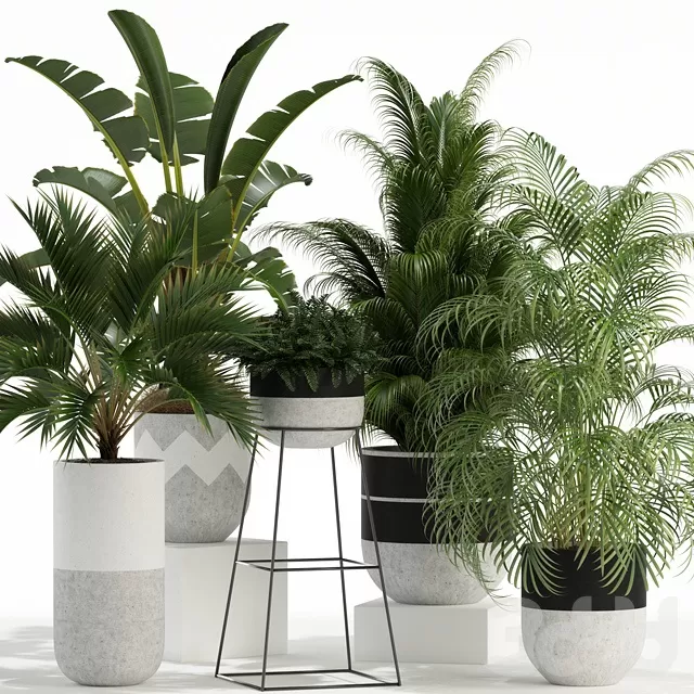 PLANTS – INDOOR – 3D MODELS – FREE DOWNLOAD – 16591 PLANTS – INDOOR – 3D MODELS – FREE DOWNLOAD – 16591