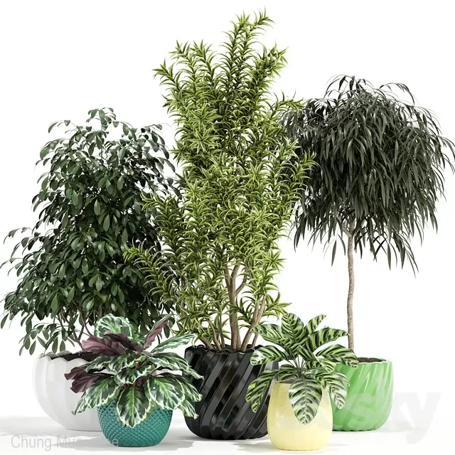 PLANTS – INDOOR – 3D MODELS – FREE DOWNLOAD – 16592 PLANTS – INDOOR – 3D MODELS – FREE DOWNLOAD – 16592