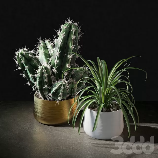 PLANTS – INDOOR – 3D MODELS – FREE DOWNLOAD – 16595 PLANTS – INDOOR – 3D MODELS – FREE DOWNLOAD – 16595