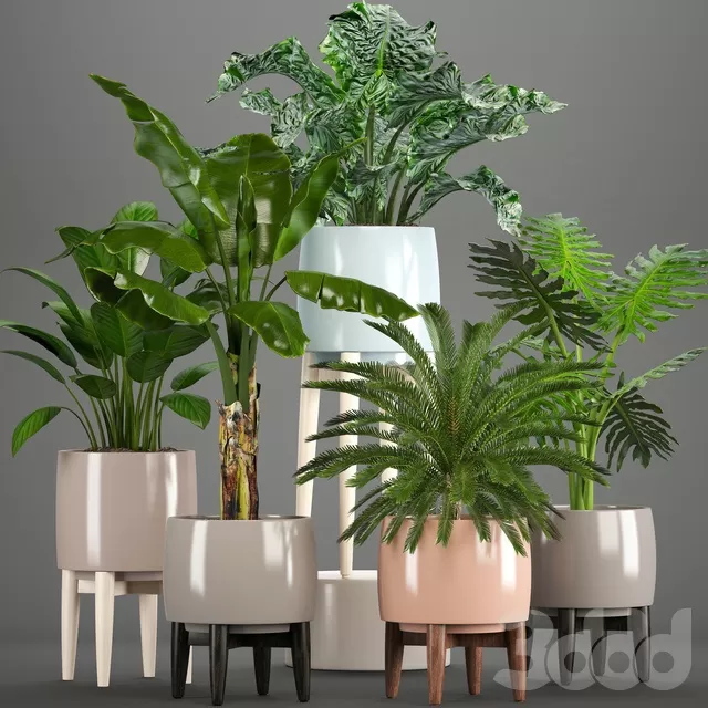 PLANTS – INDOOR – 3D MODELS – FREE DOWNLOAD – 16596 PLANTS – INDOOR – 3D MODELS – FREE DOWNLOAD – 16596