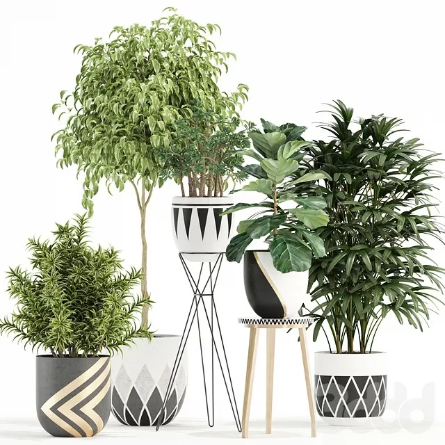 PLANTS – INDOOR – 3D MODELS – FREE DOWNLOAD – 16597 PLANTS – INDOOR – 3D MODELS – FREE DOWNLOAD – 16597