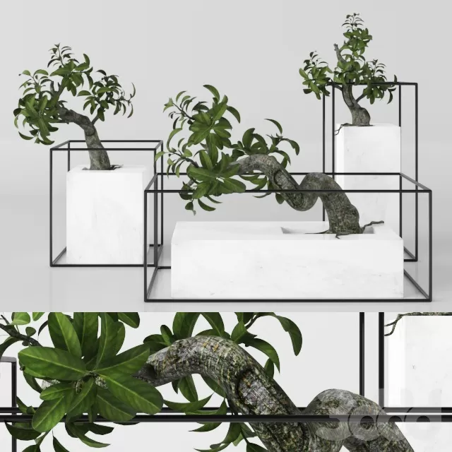 PLANTS – INDOOR – 3D MODELS – FREE DOWNLOAD – 16598 PLANTS – INDOOR – 3D MODELS – FREE DOWNLOAD – 16598