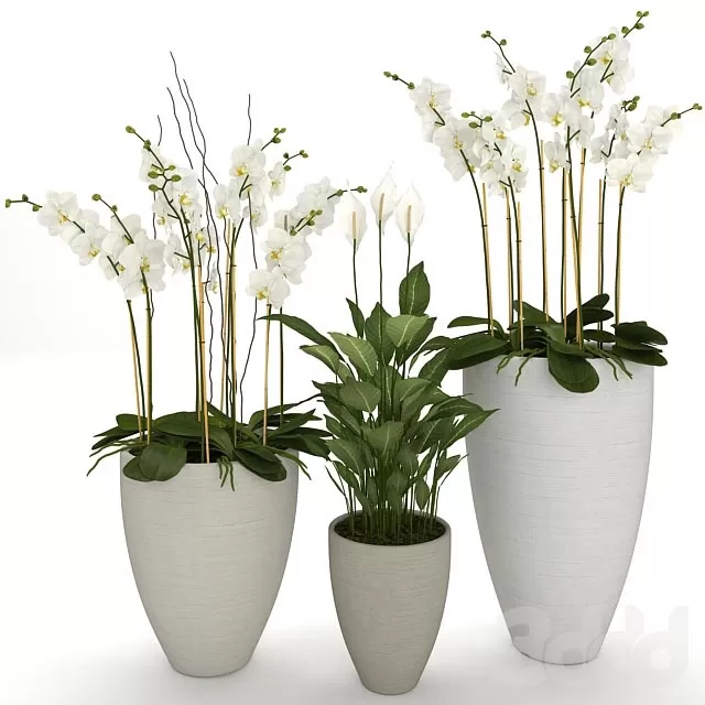 PLANTS – INDOOR – 3D MODELS – FREE DOWNLOAD – 16601 PLANTS – INDOOR – 3D MODELS – FREE DOWNLOAD – 16601