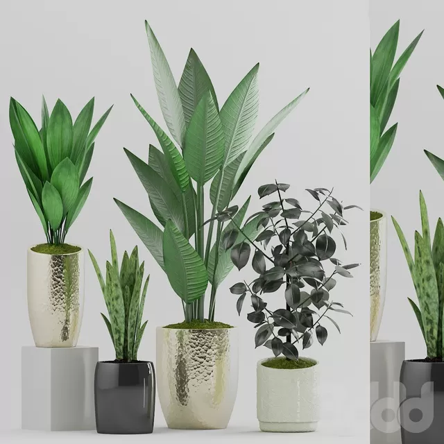 PLANTS – INDOOR – 3D MODELS – FREE DOWNLOAD – 16603 PLANTS – INDOOR – 3D MODELS – FREE DOWNLOAD – 16603