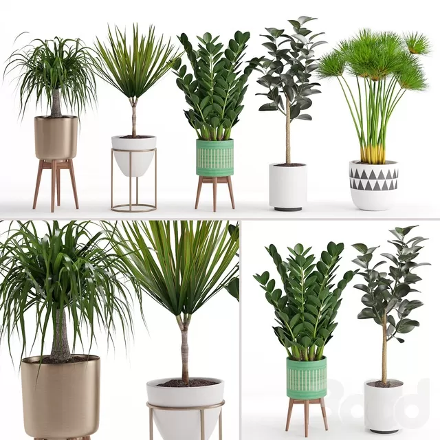 PLANTS – INDOOR – 3D MODELS – FREE DOWNLOAD – 16604 PLANTS – INDOOR – 3D MODELS – FREE DOWNLOAD – 16604