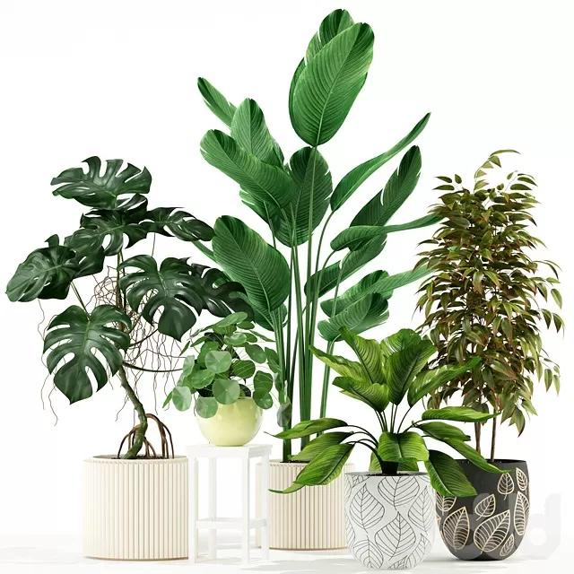 PLANTS – INDOOR – 3D MODELS – FREE DOWNLOAD – 16605 PLANTS – INDOOR – 3D MODELS – FREE DOWNLOAD – 16605