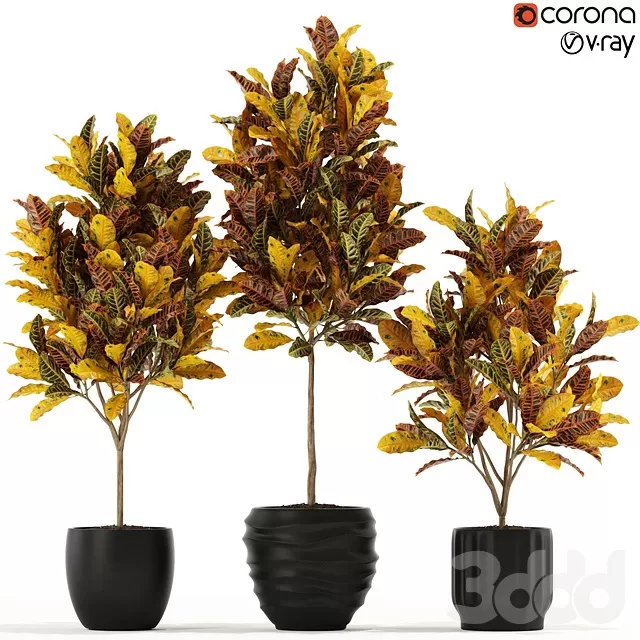 PLANTS – INDOOR – 3D MODELS – FREE DOWNLOAD – 16607 PLANTS – INDOOR – 3D MODELS – FREE DOWNLOAD – 16607