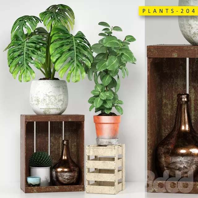 PLANTS – INDOOR – 3D MODELS – FREE DOWNLOAD – 16608 PLANTS – INDOOR – 3D MODELS – FREE DOWNLOAD – 16608