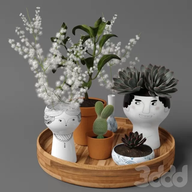 PLANTS – INDOOR – 3D MODELS – FREE DOWNLOAD – 16611 PLANTS – INDOOR – 3D MODELS – FREE DOWNLOAD – 16611