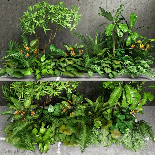 PLANTS – INDOOR – 3D MODELS – FREE DOWNLOAD – 16613 PLANTS – INDOOR – 3D MODELS – FREE DOWNLOAD – 16613