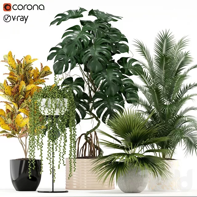 PLANTS – INDOOR – 3D MODELS – FREE DOWNLOAD – 16616 PLANTS – INDOOR – 3D MODELS – FREE DOWNLOAD – 16616